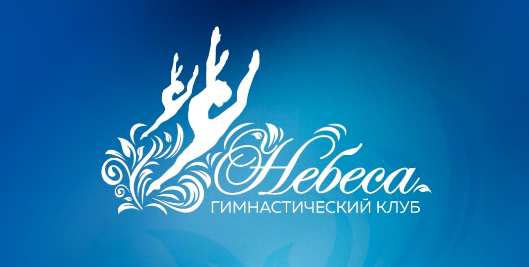Маркетинговая стратегия для ГК «Небеса»